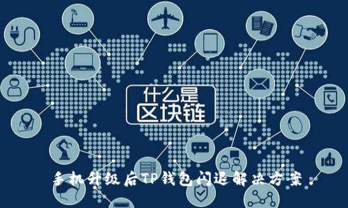 手机升级后TP钱包闪退解决方案