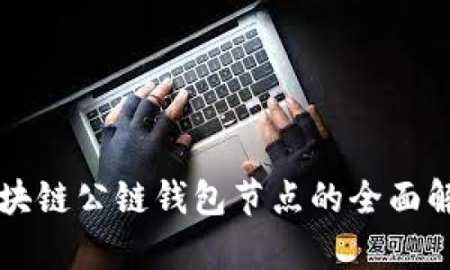 区块链公链钱包节点的全面解析