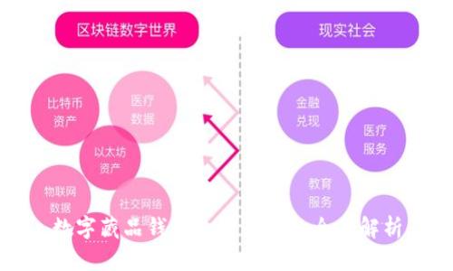 数字藏品钱包支付通道的全面解析