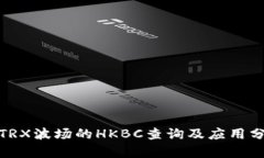 : TRX波场的HKBC查询及应用