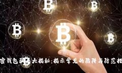 加密钱包骗局大揭秘：揭
