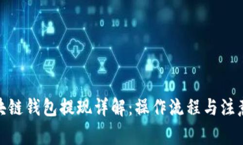 : 区块链钱包提现详解：操作流程与注意事项
