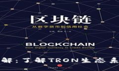 TP钱包波场链通道详解：了解TRON生态系统中的数