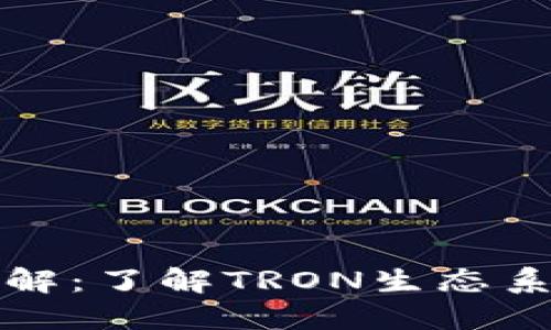 TP钱包波场链通道详解：了解TRON生态系统中的数字资产管理