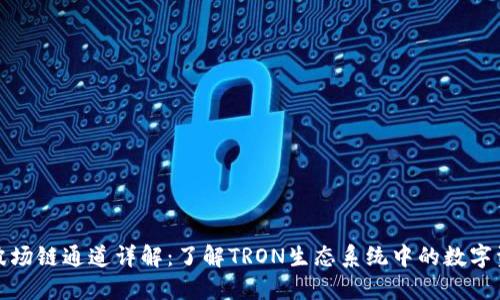 TP钱包波场链通道详解：了解TRON生态系统中的数字资产管理