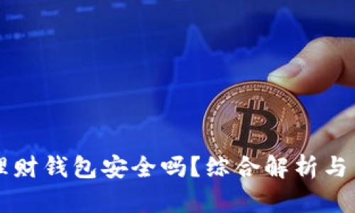虚拟币理财钱包安全吗？综合解析与用户指南