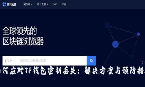 如何应对TP钱包密钥丢失: 解决方案与预防措施