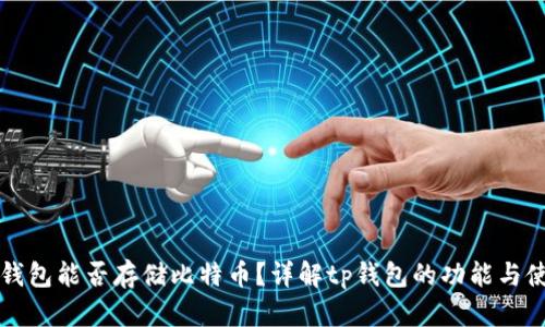 tp钱包能否存储比特币？详解tp钱包的功能与使用