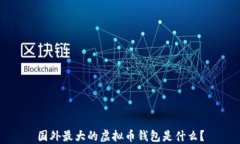 国外最大的虚拟币钱包是