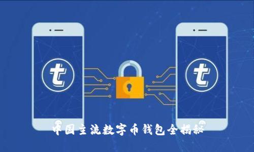 中国主流数字币钱包全揭秘