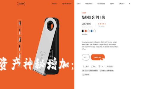 TP钱包资产神秘增加：你知道发生了什么吗？