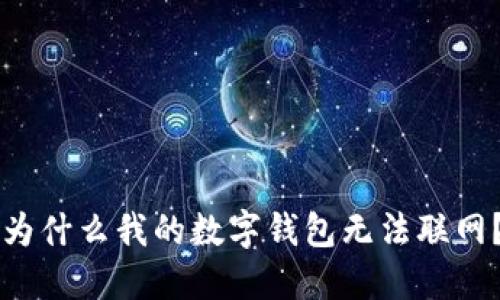 为什么我的数字钱包无法联网？