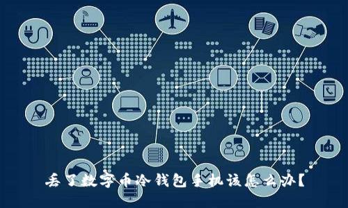 丢了数字币冷钱包手机该怎么办？