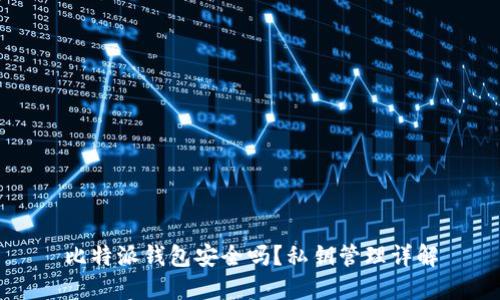 比特派钱包安全吗？私钥管理详解
