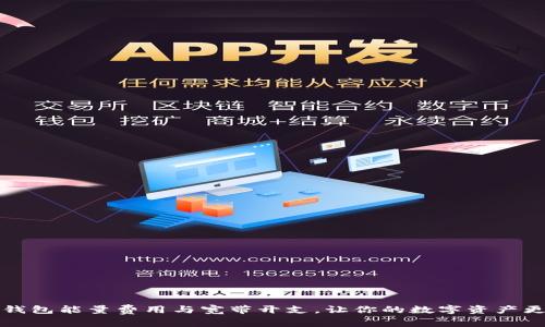 如何TP钱包能量费用与宽带开支，让你的数字资产更有价值