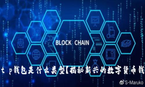 : t p钱包是什么类型？揭秘新兴的数字货币钱包