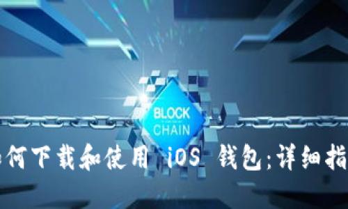 如何下载和使用 iOS 钱包：详细指南