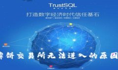 : t p钱包薄饼交易所无法进入的原因及