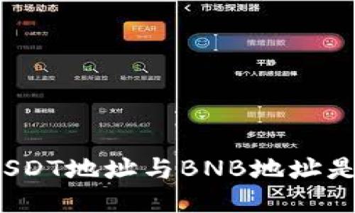 TP中的USDT地址与BNB地址是否相同?